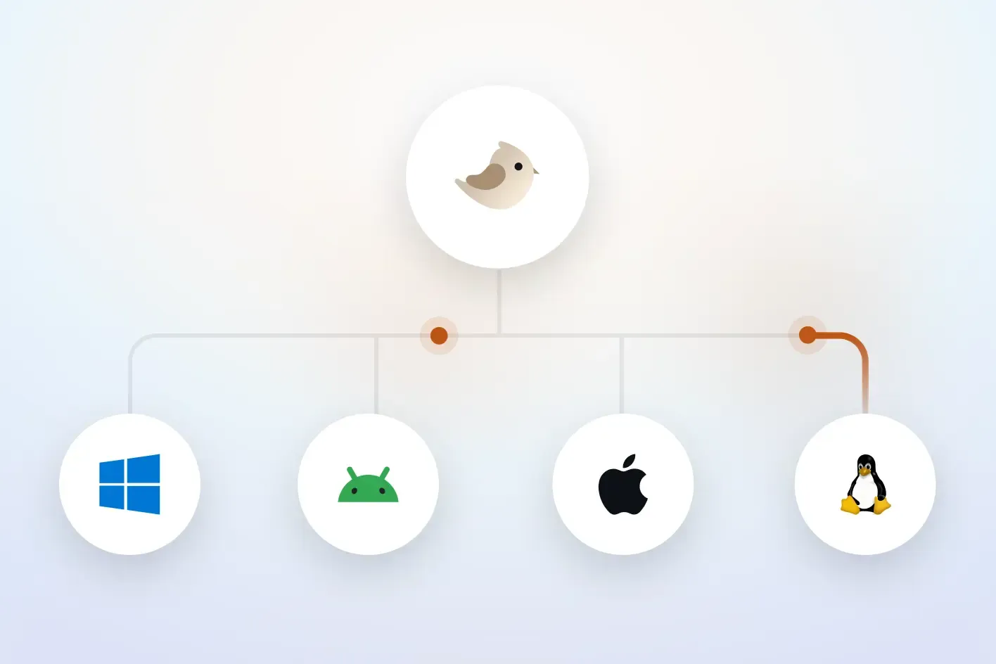 Shorebird pushing updates to Windows, Android, iOS and Linux